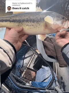 🎣Mini Multi-Arm Baitfish School Rig – Handcrafted Alabama-Style Fishing Lure